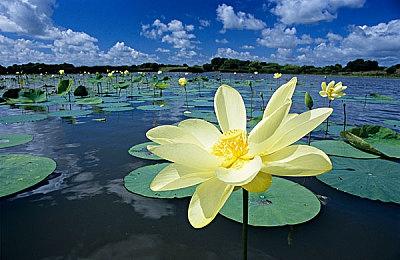 卡普空上线神秘倒计时网站 七天后揭晓