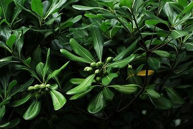 《绝地潜兵2》总监游戏首发曾劝玩家先别买 遭索尼臭骂