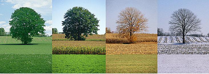 505 Games参展TGS2021 将于10月1日开启专场